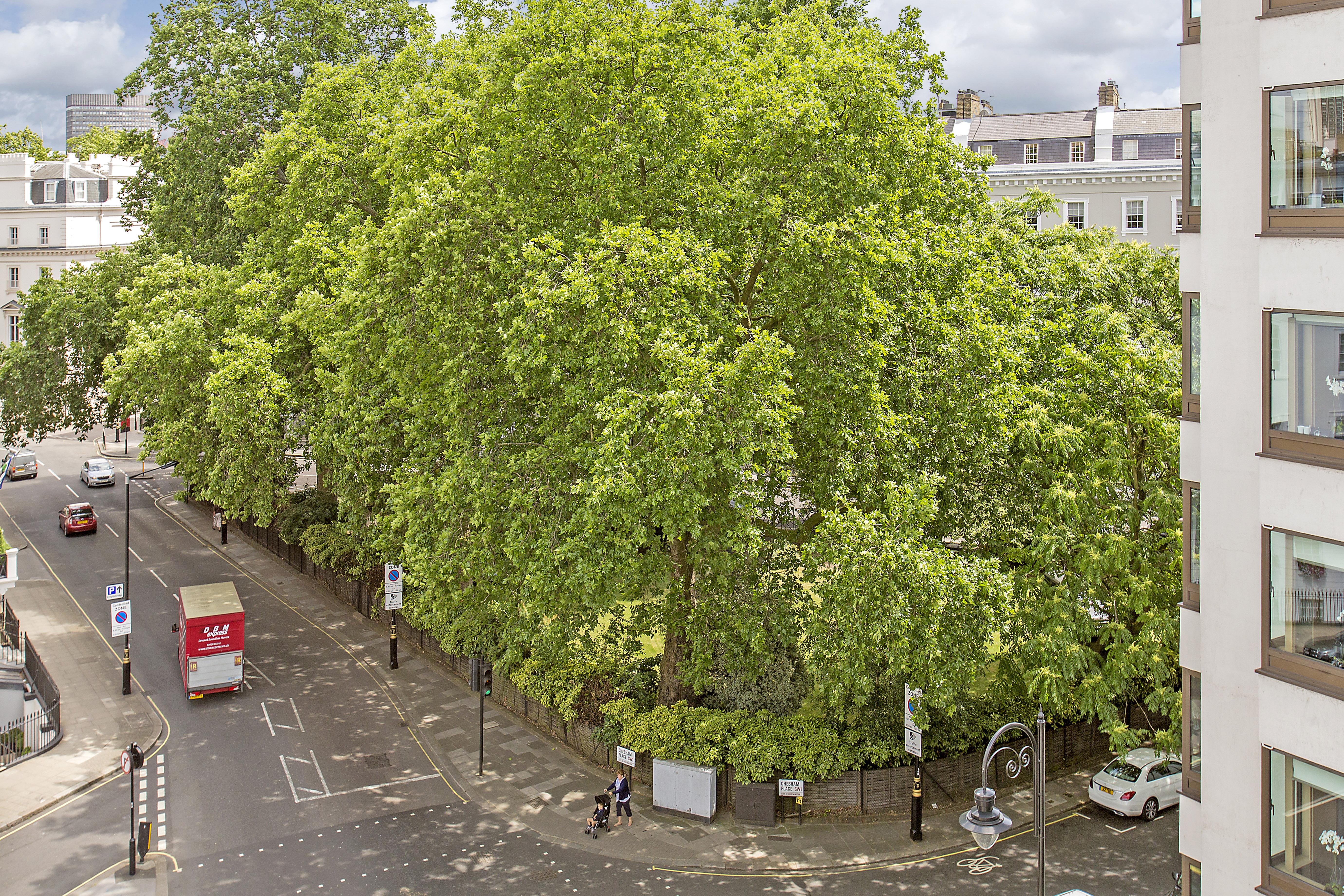 Chesham Court Knightsbridge Aparthotel London Exteriör bild